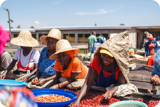 Вода для кофе